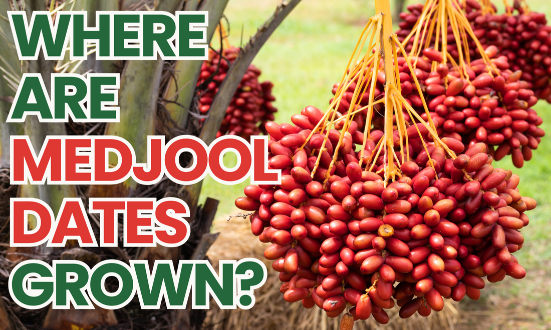 Where Are Medjool Dates Grown?
