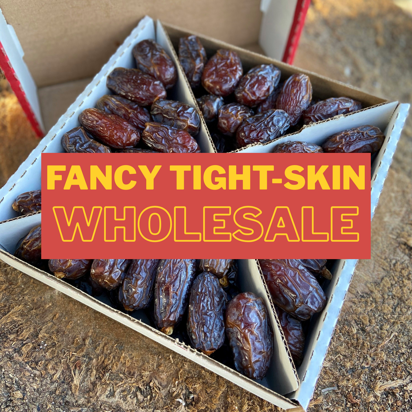 Fancy Tight-Skinned Medjool Dates (Wholesale)