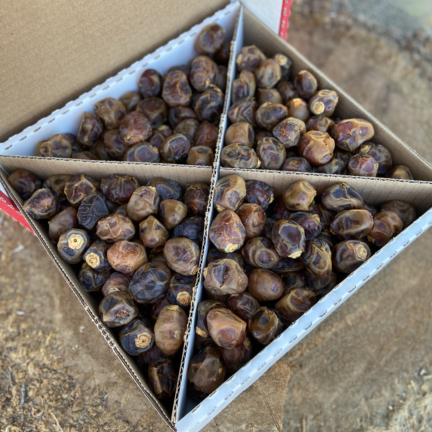 Brown Barhi Dates in a bo with four sections