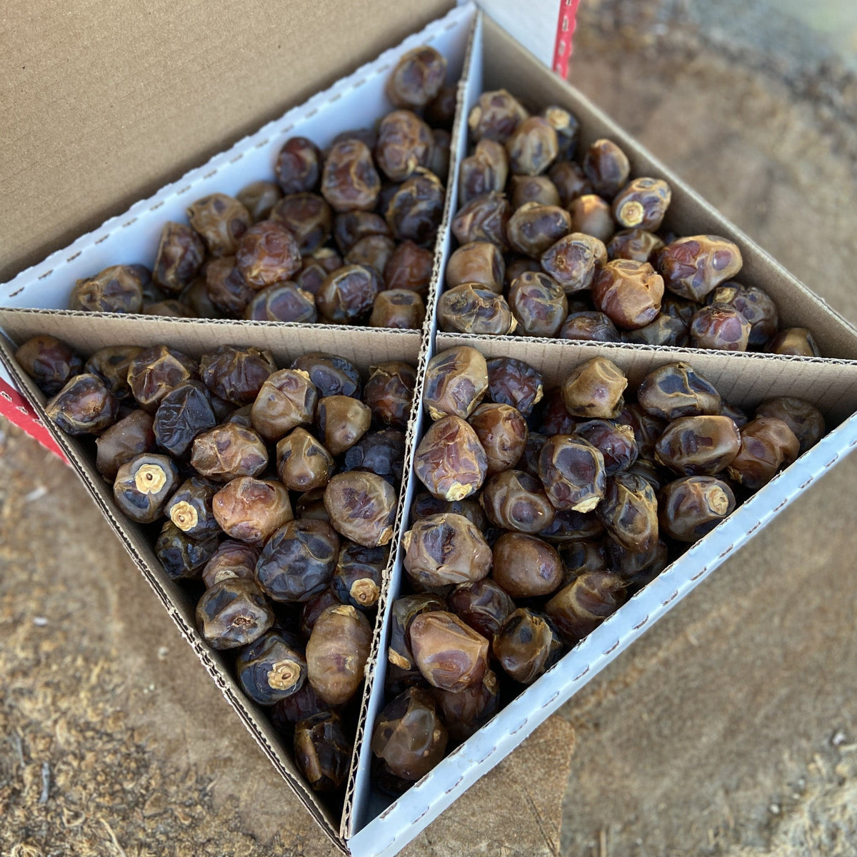 Stacked boxes of brown Barhi dates ready for shipping or display in retail setting