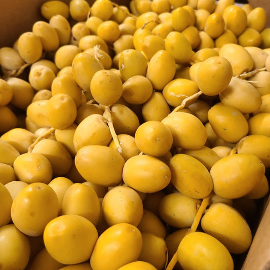 Tray of freshly harvested khalal‑stage dates with yellow skin