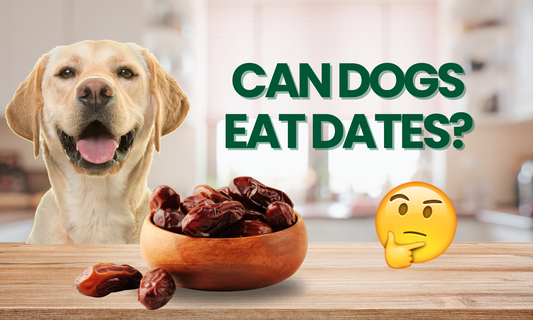 Can Dogs Eat Dates? Safe Feeding Guide & Health Tips (2025)