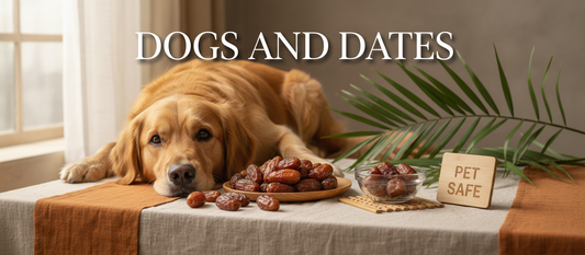 Can Dogs Eat Dates? Safe Feeding Guide & Health Tips (2026)