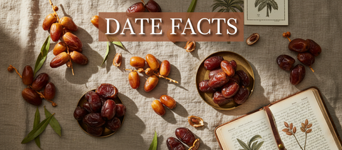 15 Interesting Facts About Dates You’ll Love (2026)