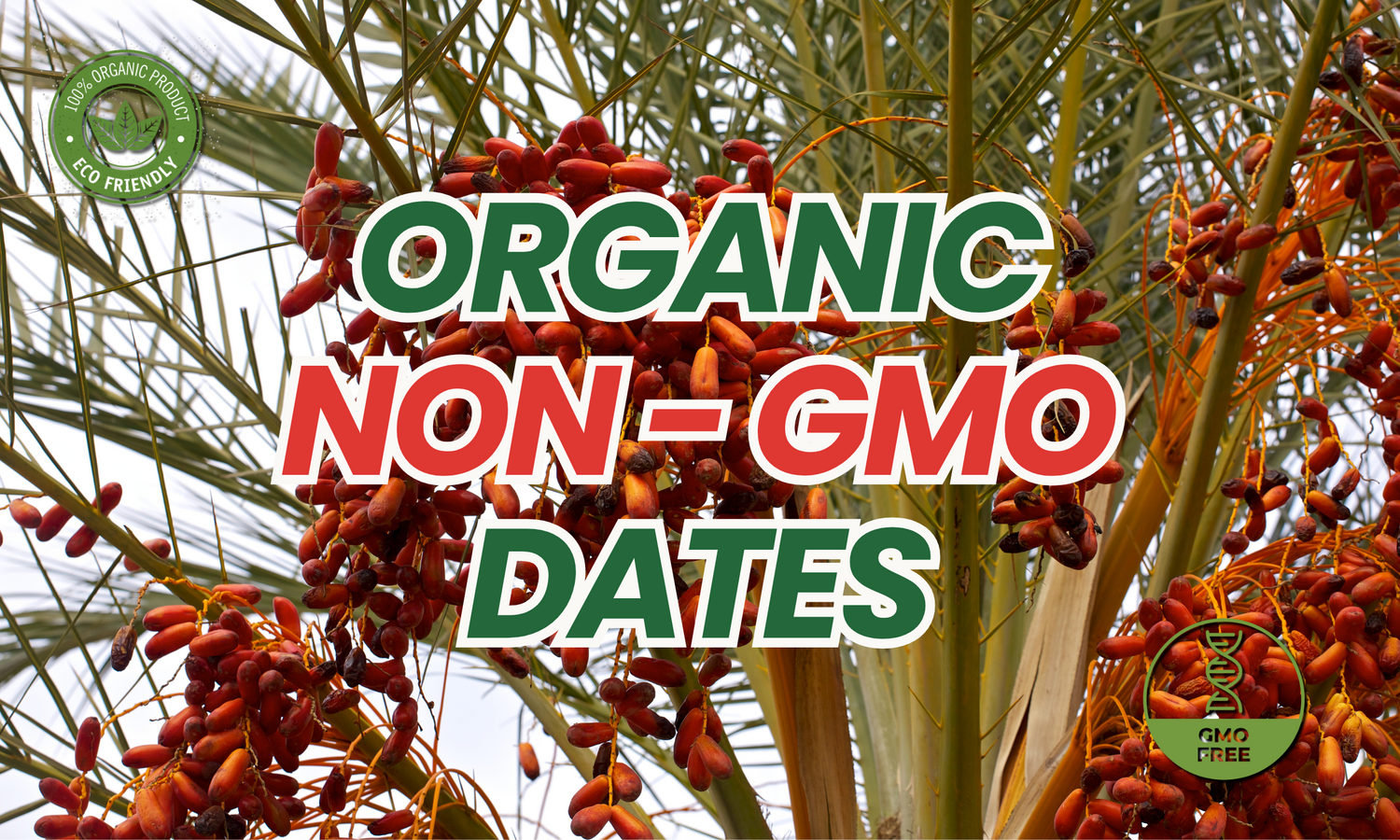 Non-GMO Dates