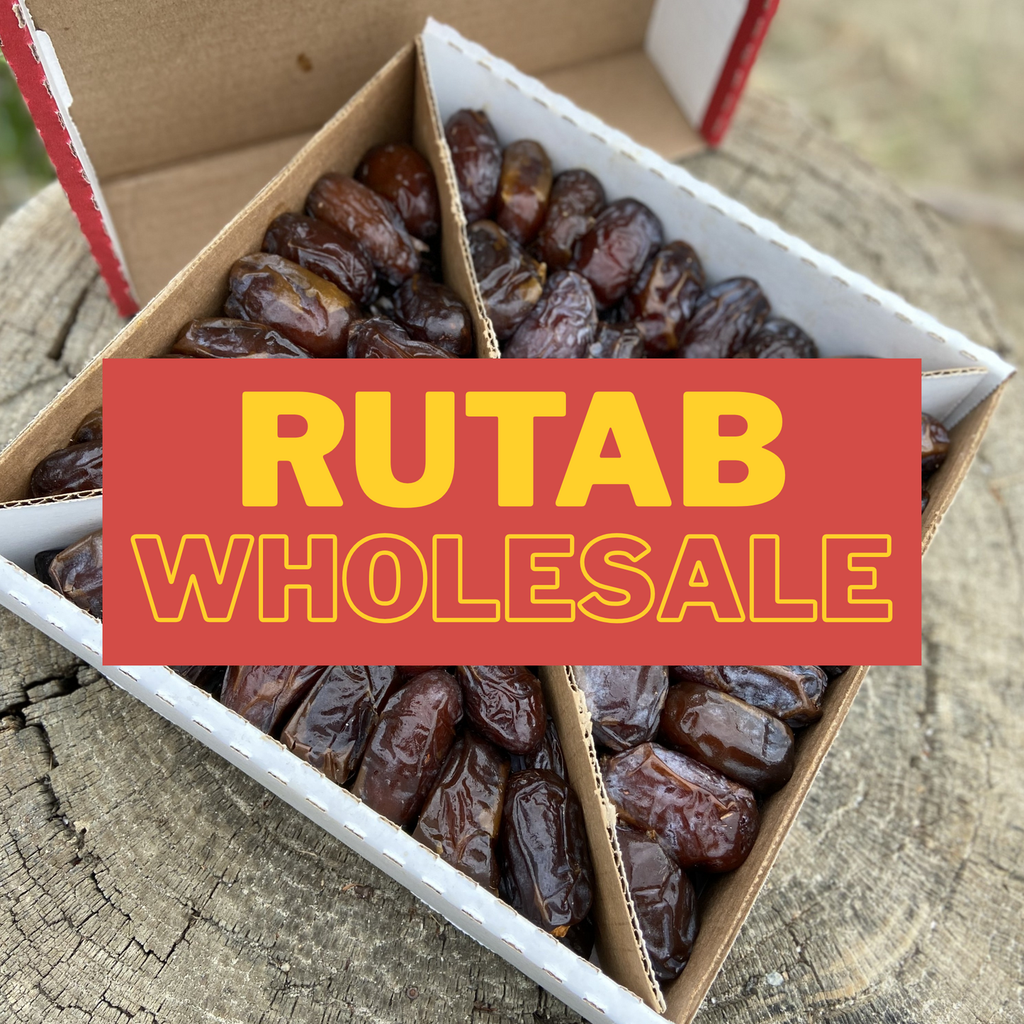 Soft Rutab Medjool Dates (Wholesale)