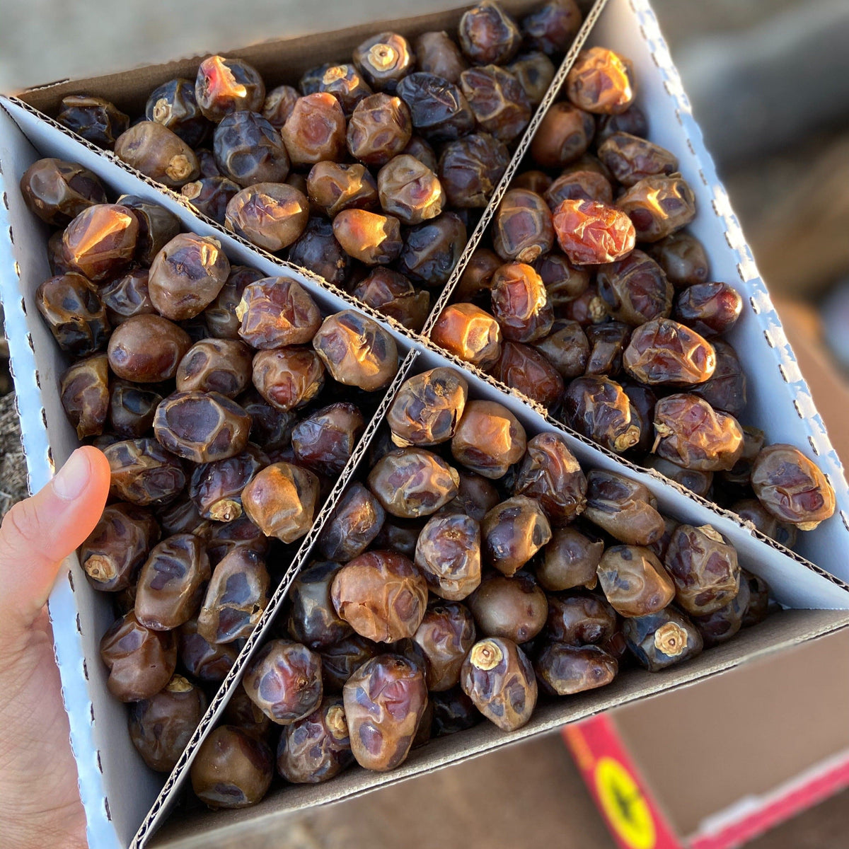 Brown Bahri Dates in Box 