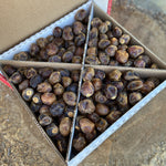Stacked boxes of brown Barhi dates ready for shipping or display in retail setting