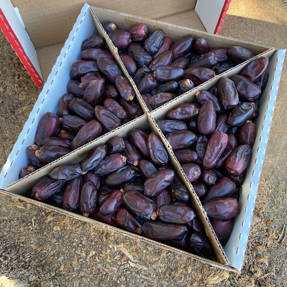 Dayri Dates in a box