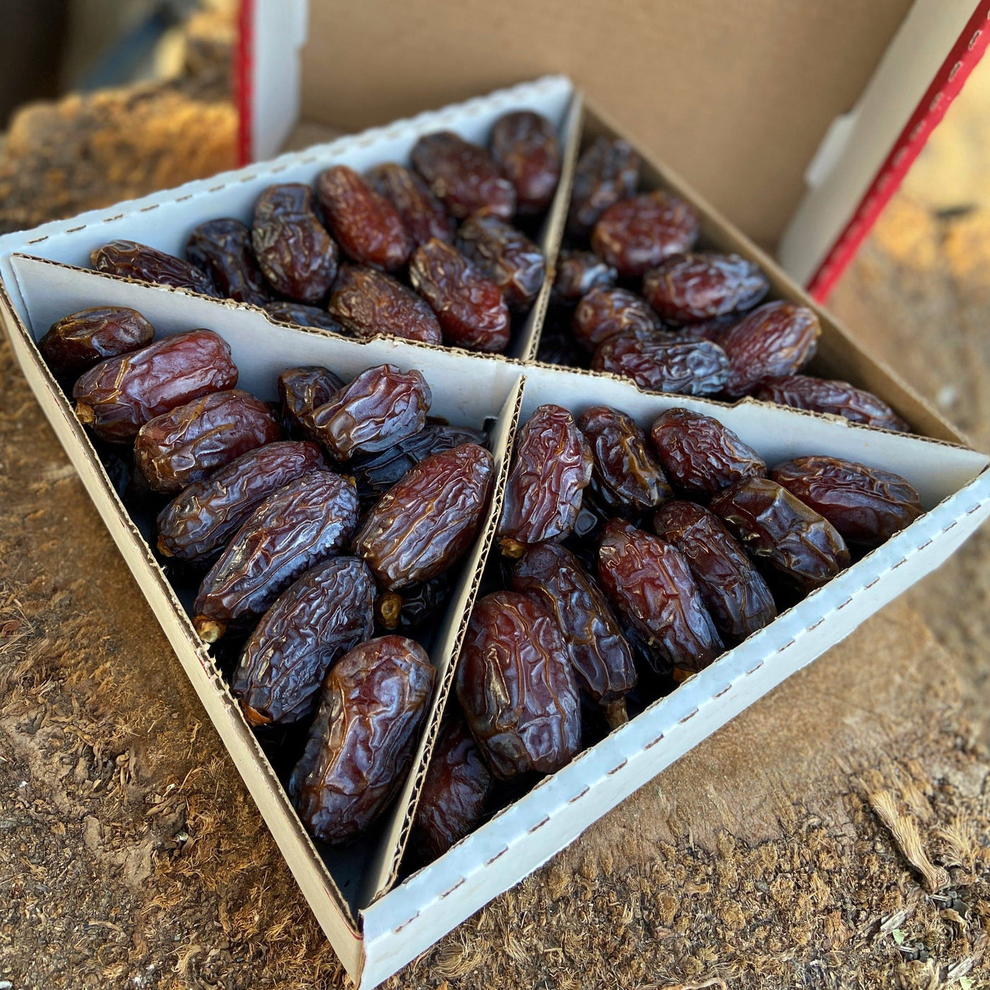 Fancy Tight-Skinned Medjool Dates